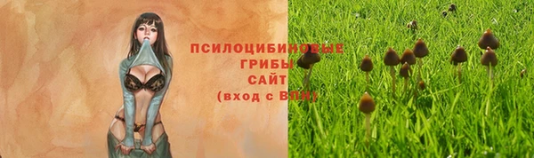 не бодяженный Алексин
