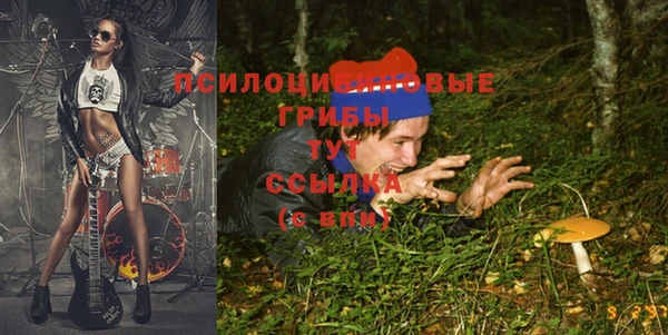 МДПВ Алзамай