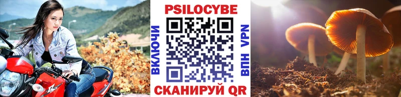 закладка  Когалым  Псилоцибиновые грибы MAGIC MUSHROOMS 